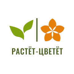 Растет Цветет